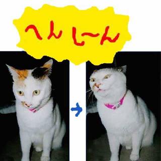 2004-11-29 17:18:39