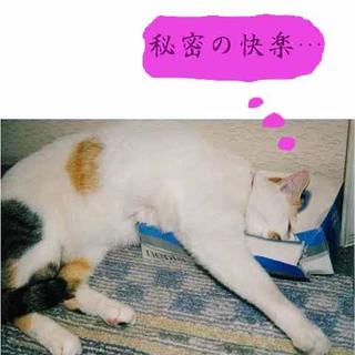 2004-11-30 09:44:35
