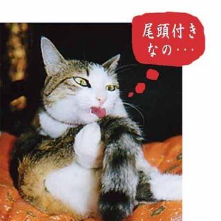 2004-11-30 10:09:34