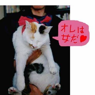 2004-11-30 10:13:23