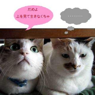 2004-11-30 10:56:11